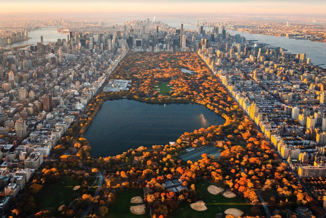 Map of New York, places to ride an electric skateboard