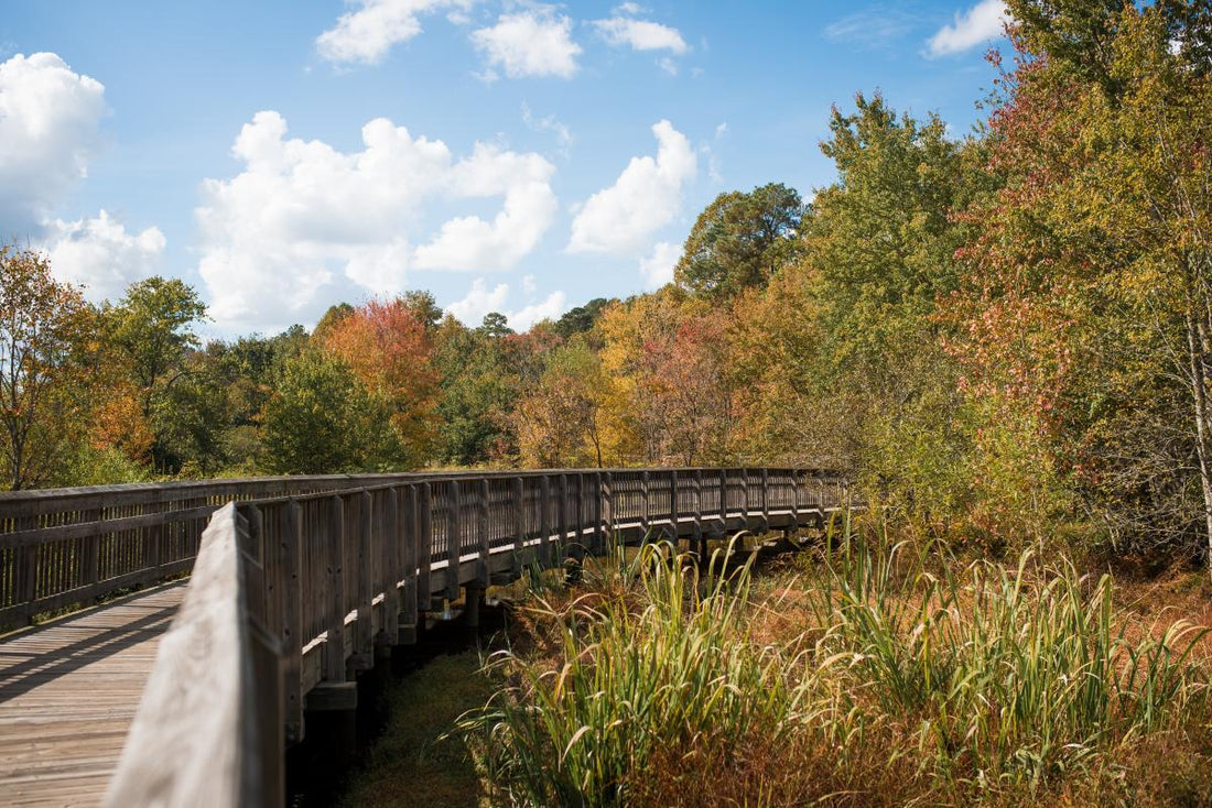 North Carolina Electric Skateboard